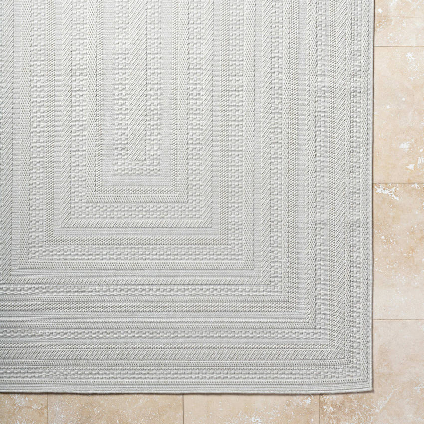 Zenia Cottage Light Gray Area Rug