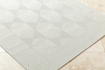 Christiaan Cottage Light Gray Area Rug
