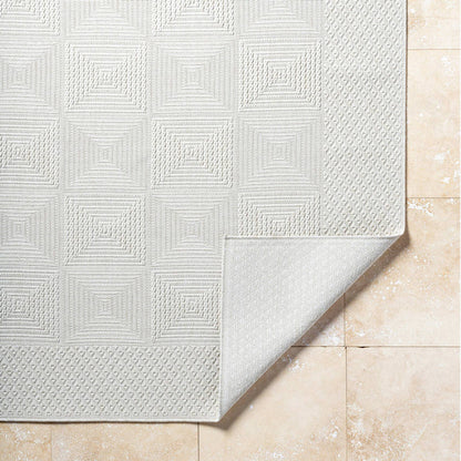 Christiaan Cottage Light Gray Area Rug