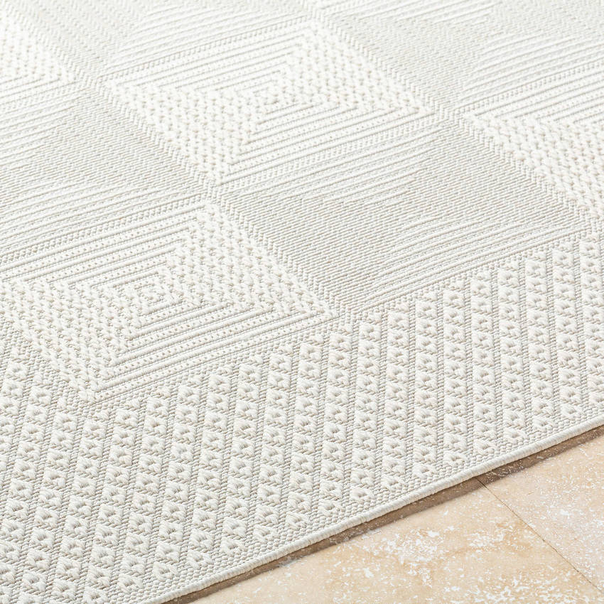 Christiaan Cottage Light Gray Area Rug