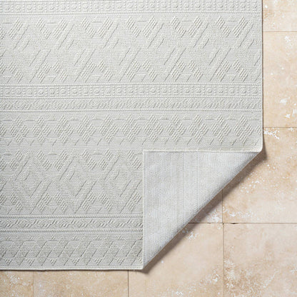 Teaira Modern Light Silver Area Rug
