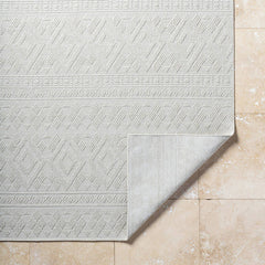 Teaira Modern Light Silver Area Rug