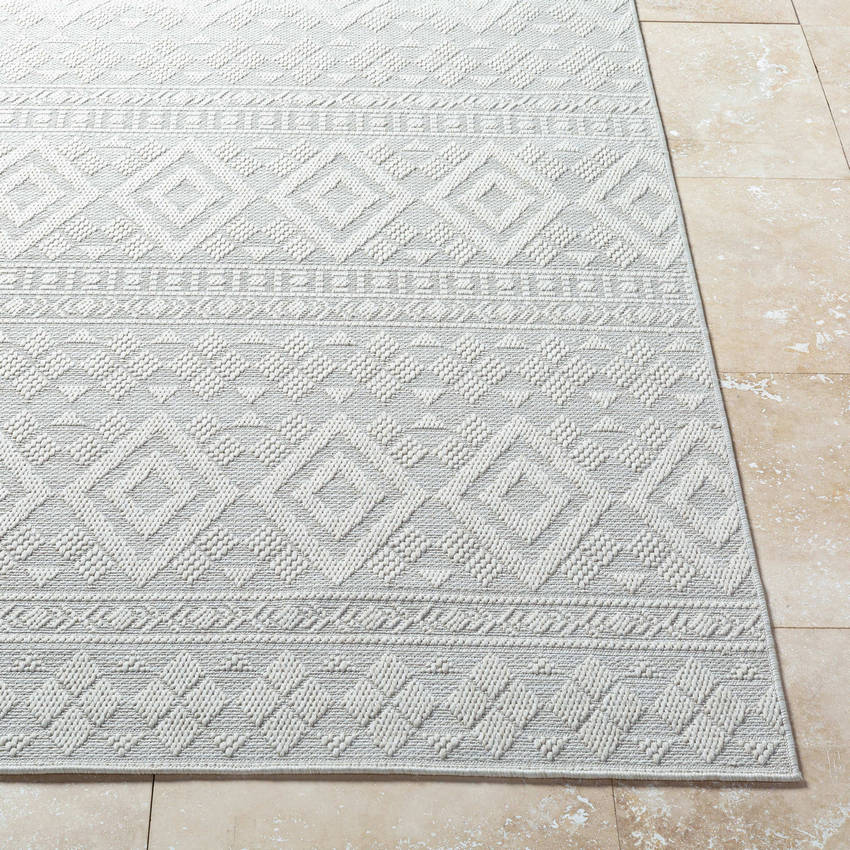 Teaira Modern Light Silver Area Rug