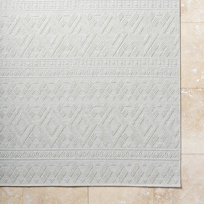 Teaira Modern Light Silver Area Rug