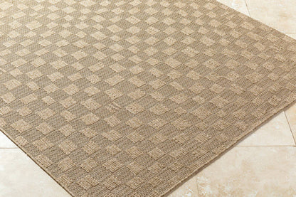 Tiphanie Cottage Light Brown Area Rug