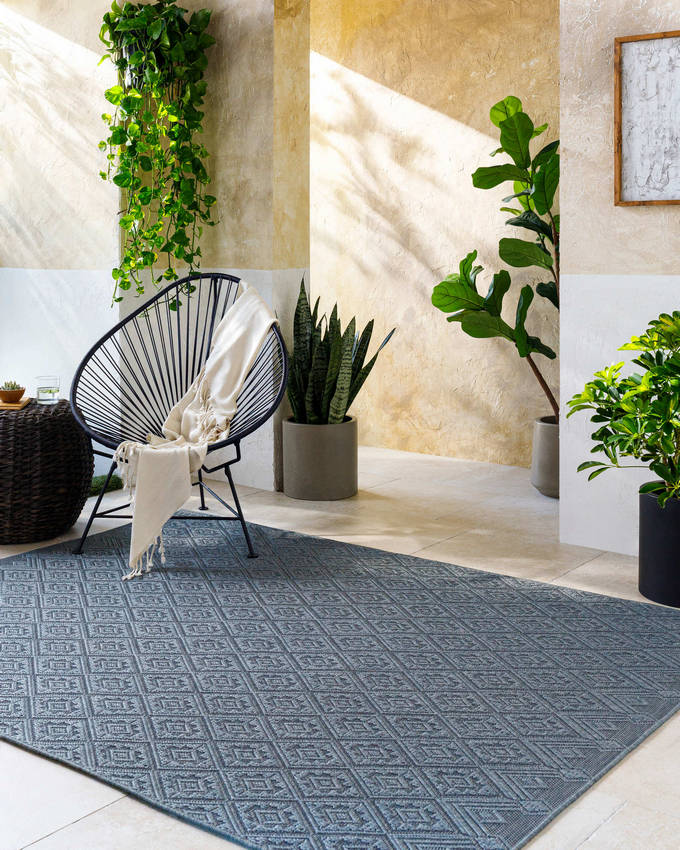Selenia Cottage Charcoal Area Rug