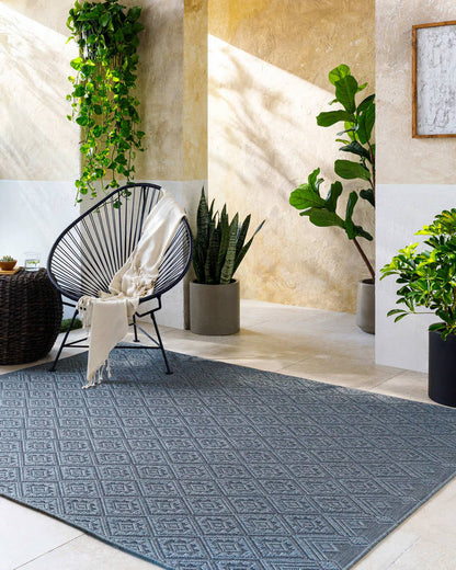 Selenia Cottage Charcoal Area Rug