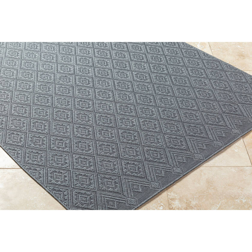 Selenia Cottage Charcoal Area Rug