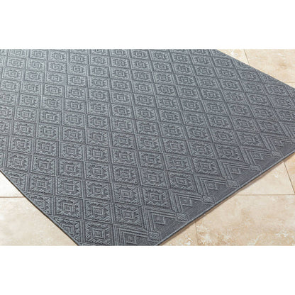 Selenia Cottage Charcoal Area Rug