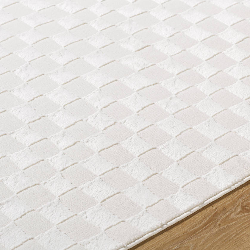 Ayleen Modern Ivory Washable Area Rug