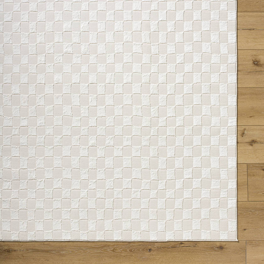 Ayleen Modern Ivory Washable Area Rug