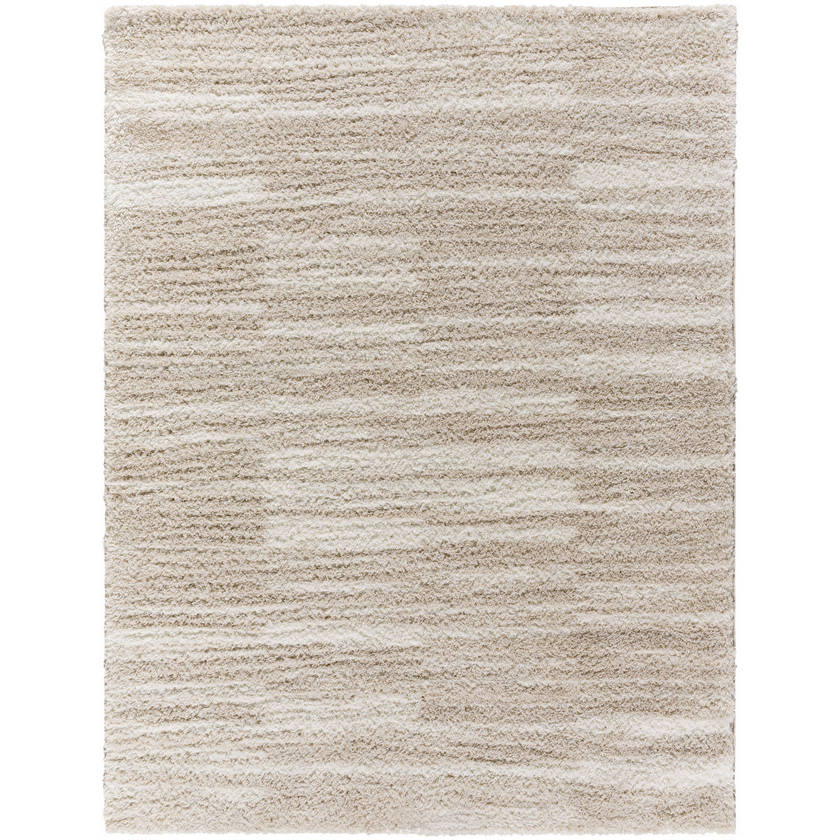 Jenafer Modern Tan Area Rug