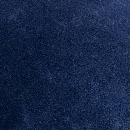 Vanessia Blue Pillow Cover