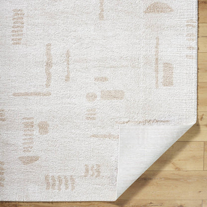 Shareef Modern Beige Washable Area Rug