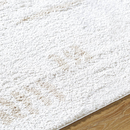 Shareef Modern Beige Washable Area Rug