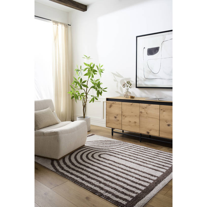 Larita Modern Dark Brown Washable Area Rug