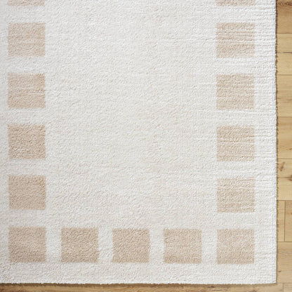 Tameka Modern Beige Washable Area Rug