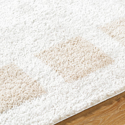Tameka Modern Beige Washable Area Rug