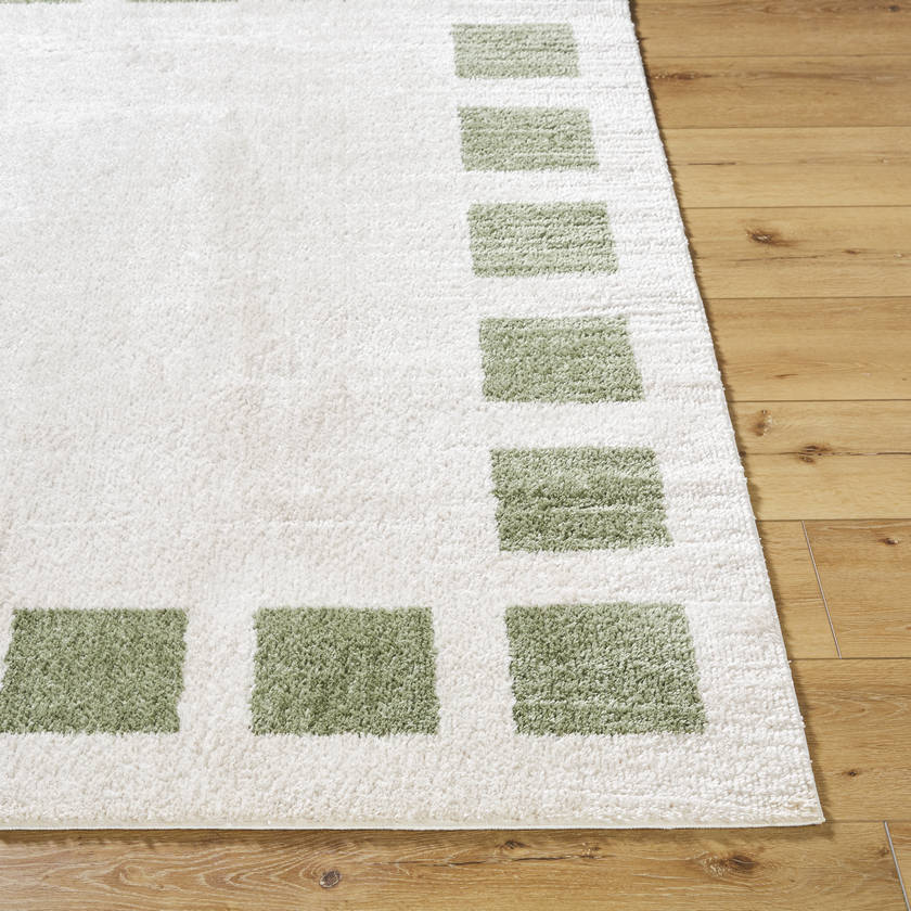Tameka Modern Grass Green Washable Area Rug