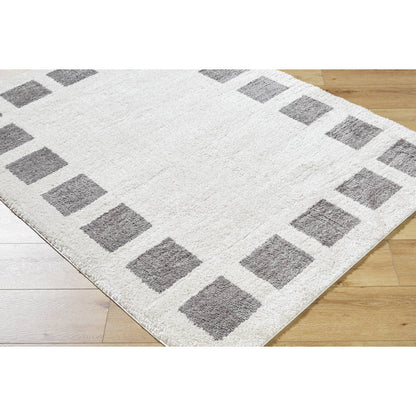Tameka Modern Charcoal Washable Area Rug