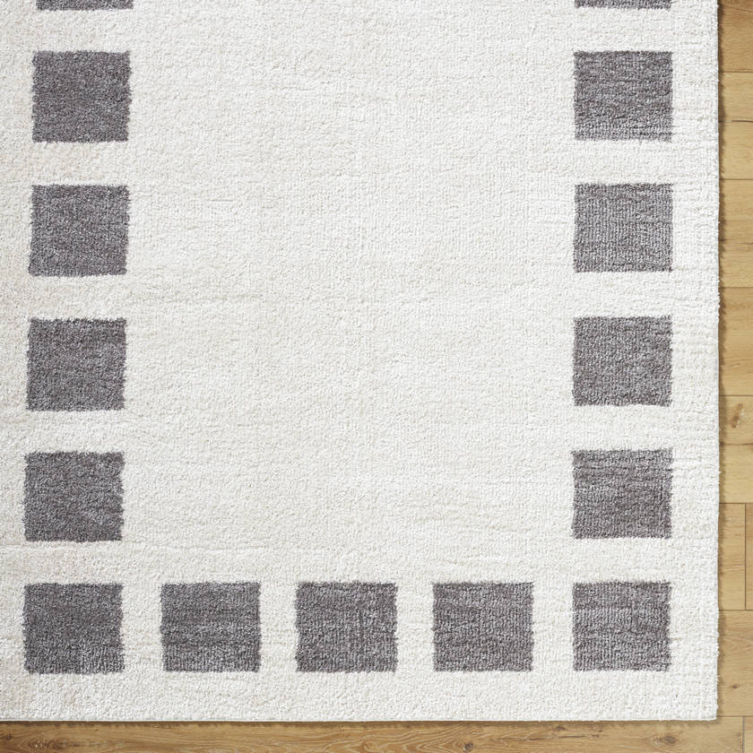 Tameka Modern Charcoal Washable Area Rug