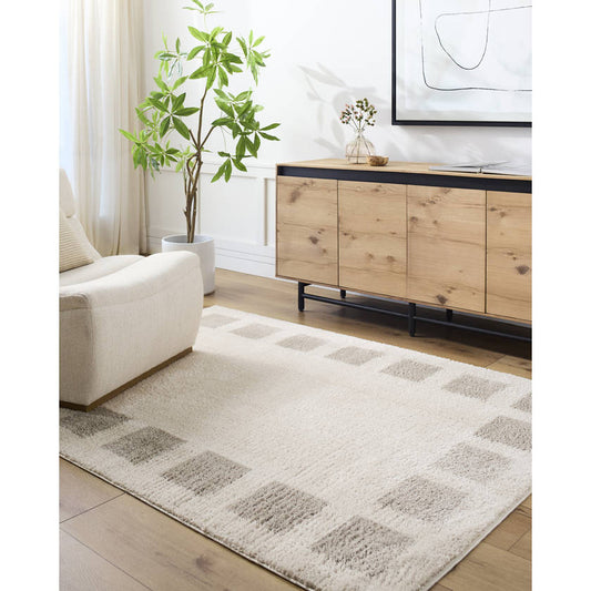 Tameka Modern Medium Gray Washable Area Rug