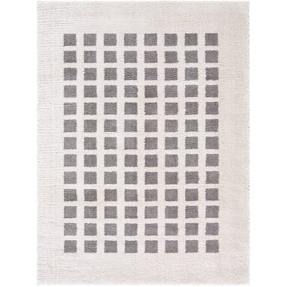 Noam Modern Charcoal Washable Area Rug