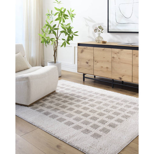 Noam Modern Medium Gray Washable Area Rug