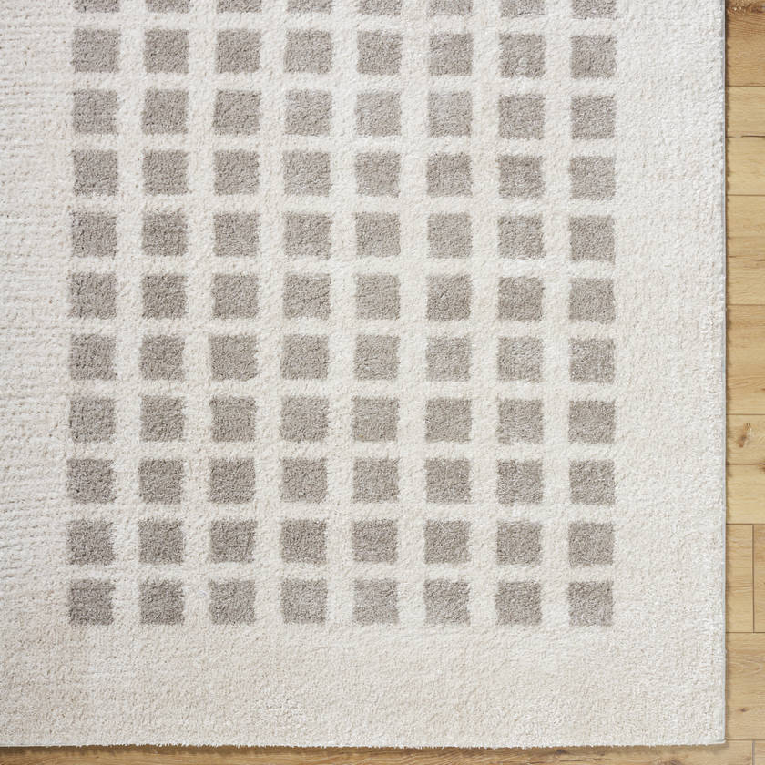 Noam Modern Medium Gray Washable Area Rug