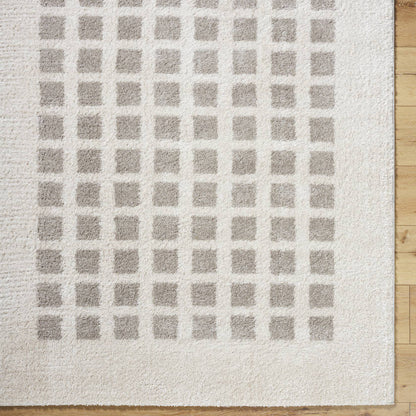 Noam Modern Medium Gray Washable Area Rug