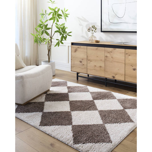 Jason Modern Dark Brown Washable Area Rug