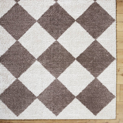 Jason Modern Dark Brown Washable Area Rug