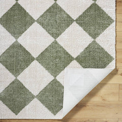 Jason Modern Grass Green Washable Area Rug