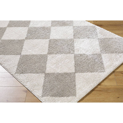 Jason Modern Medium Gray Washable Area Rug