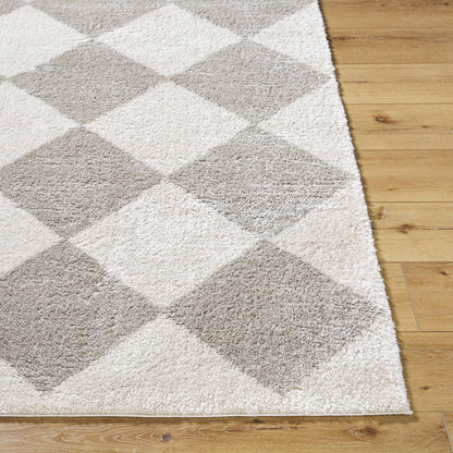 Jason Modern Medium Gray Washable Area Rug