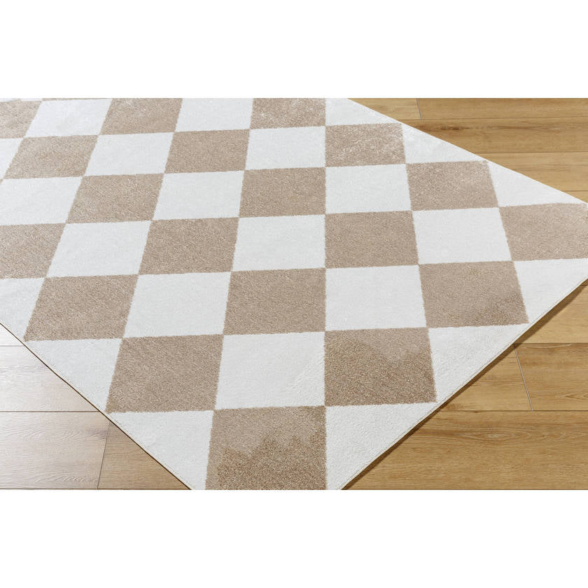 Senior Modern Light Brown Washable Area Rug