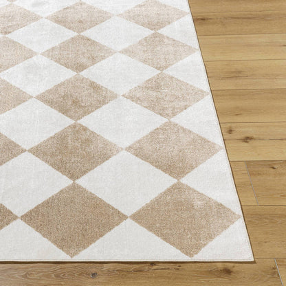 Senior Modern Light Brown Washable Area Rug