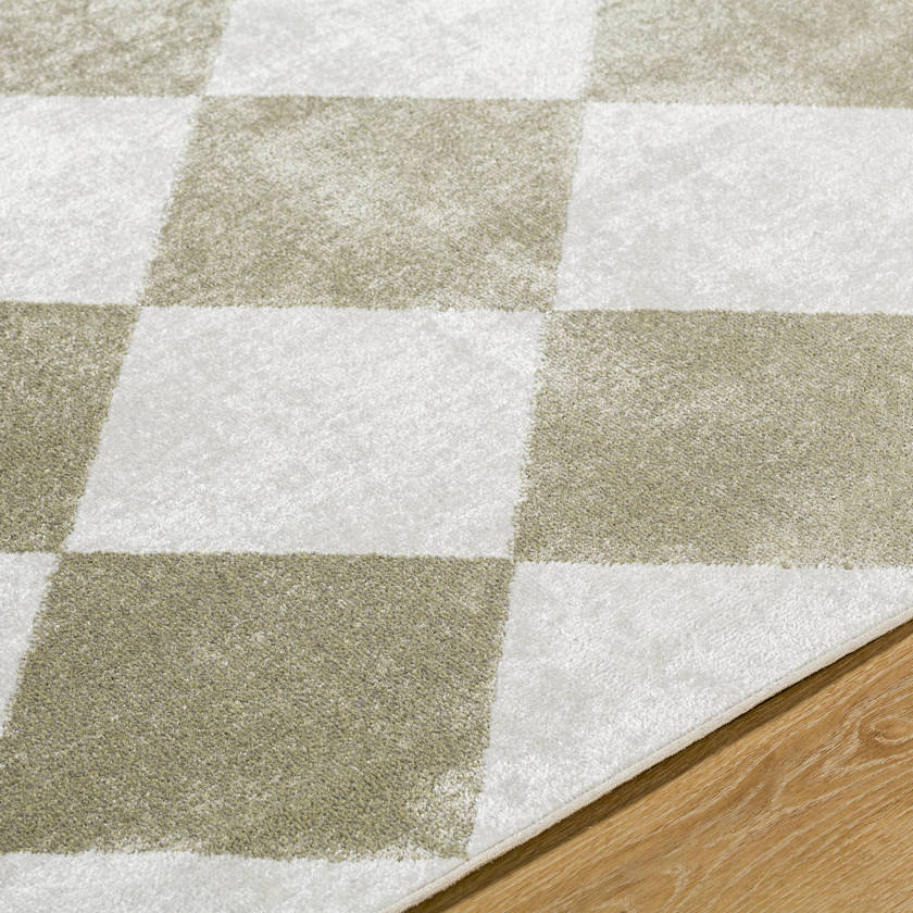 Senior Modern Dusty Sage Washable Area Rug