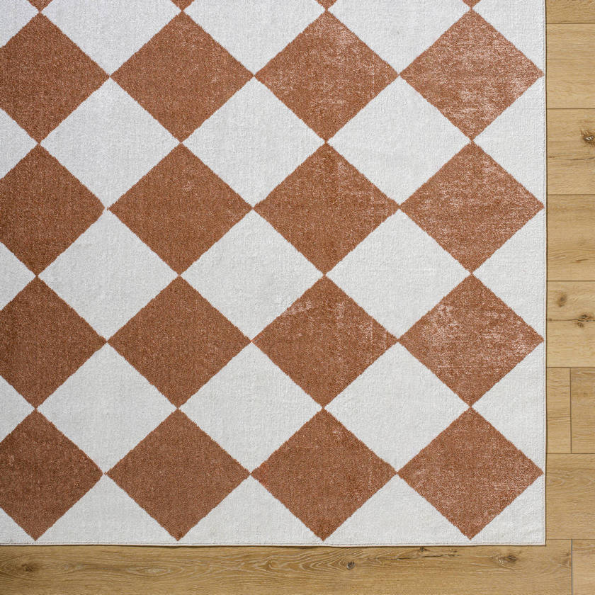 Senior Modern Rust Washable Area Rug