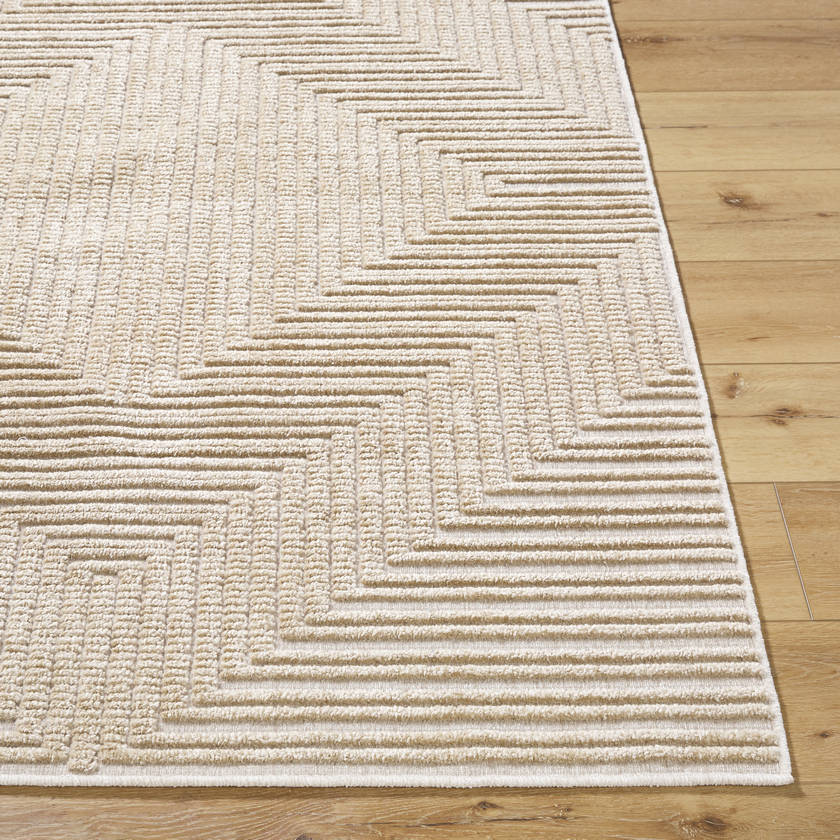 Carissa Modern Light Brown Washable Area Rug