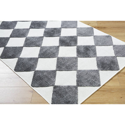 Luanne Modern Charcoal Washable Area Rug