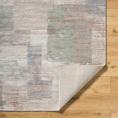 Tyshawn Modern Dusty Sage Area Rug
