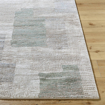 Tyshawn Modern Dusty Sage Area Rug