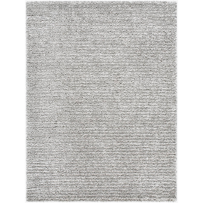 Letrice Modern Gray Area Rug