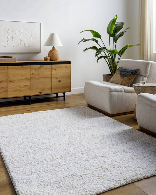 Dereka Modern Light Silver Area Rug