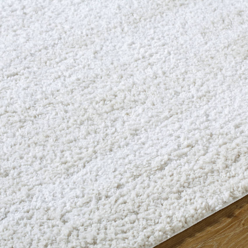 Dereka Modern Light Silver Area Rug