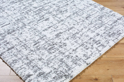 Lekesha Modern Light Gray Area Rug