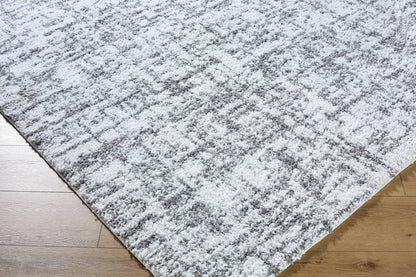 Lekesha Modern Light Gray Area Rug