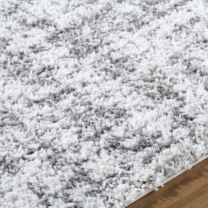 Lekesha Modern Light Gray Area Rug