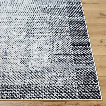 Drey Modern Black/Light Beige Area Rug